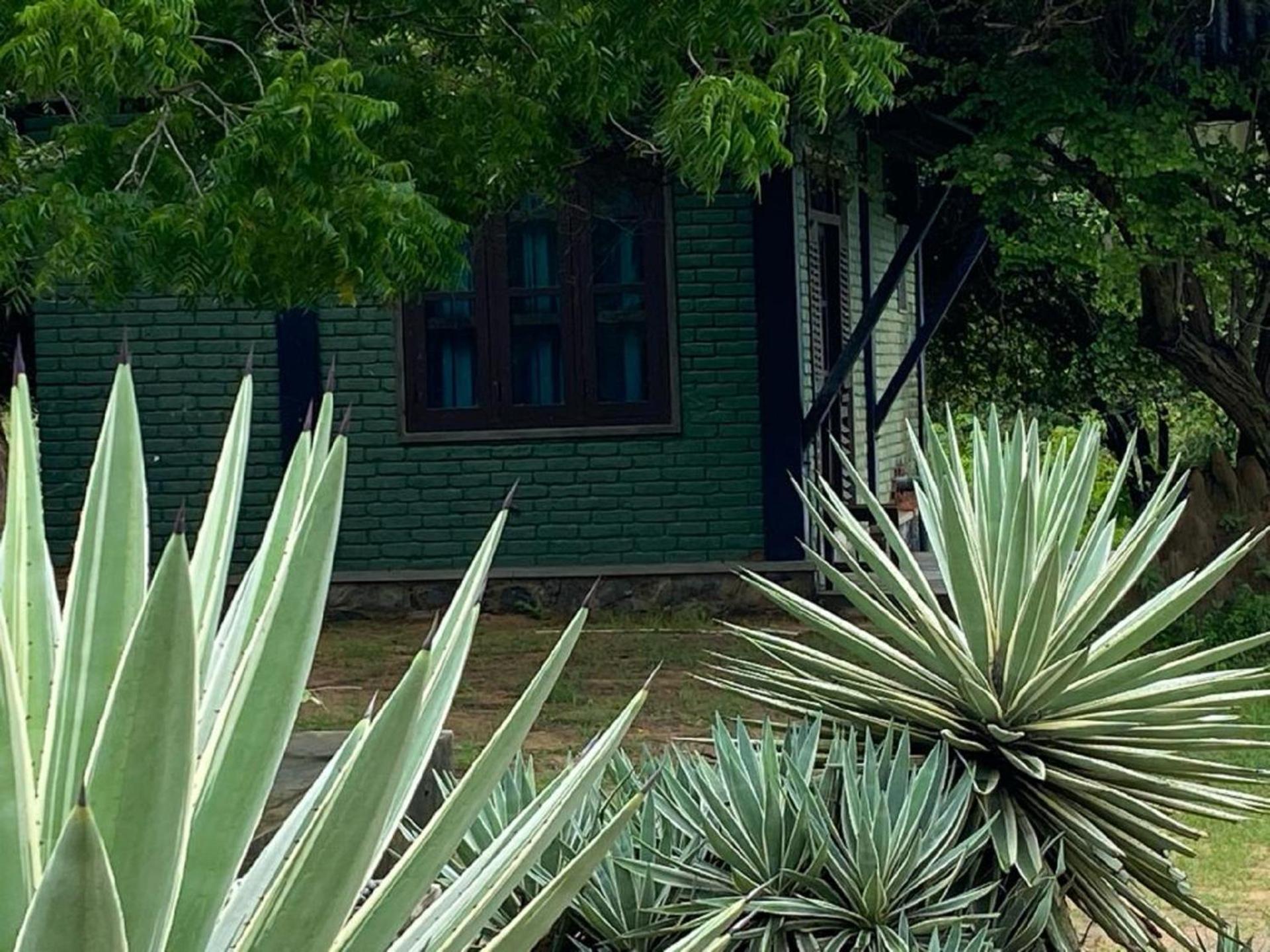 Yala Ying Yang Hostel & Camping מראה חיצוני תמונה