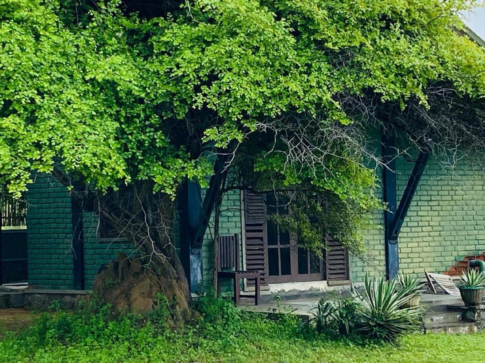 Yala Ying Yang Hostel & Camping מראה חיצוני תמונה
