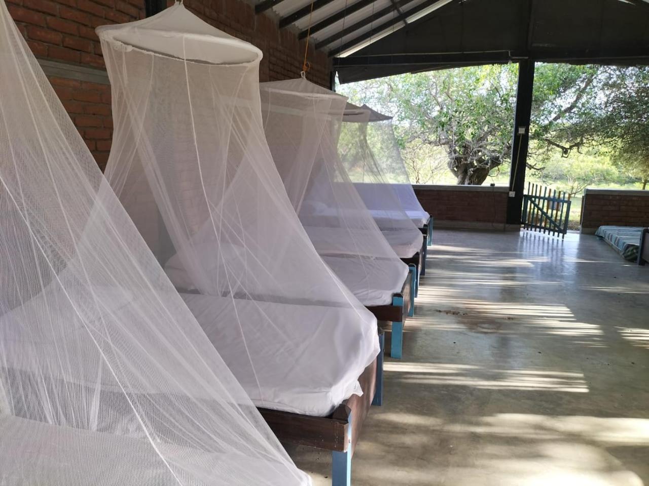 Yala Ying Yang Hostel & Camping מראה חיצוני תמונה