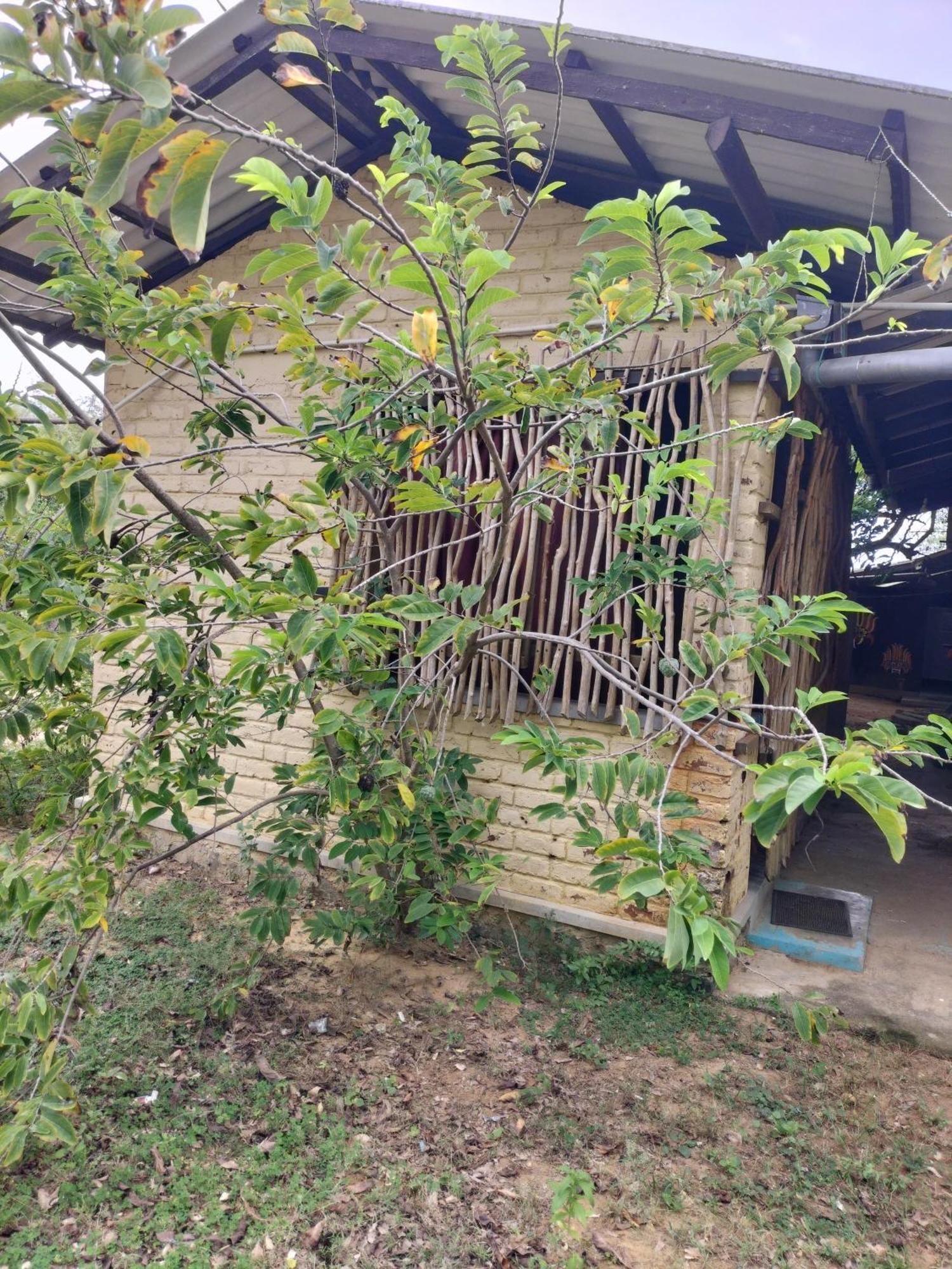 Yala Ying Yang Hostel & Camping מראה חיצוני תמונה
